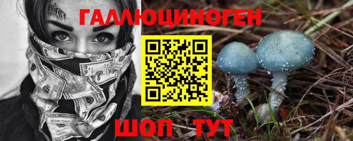 Галлюциногенные грибы Psilocybe Белово