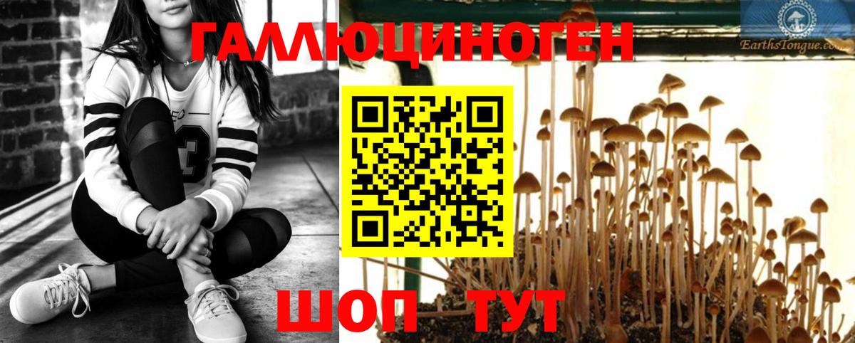 Псилоцибиновые грибы ЛСД  Вход с VPN  Галлюциногенные грибы мицелий  где продают наркотики  Белово 